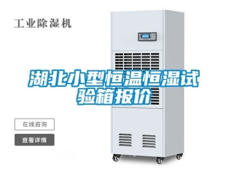 知识百科湖北小型恒温恒湿试验箱报价