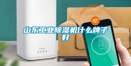 山东工业除湿机什么牌子好