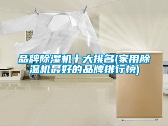 企业新闻品牌除湿机十大排名(家用除湿机最好的品牌排行榜)
