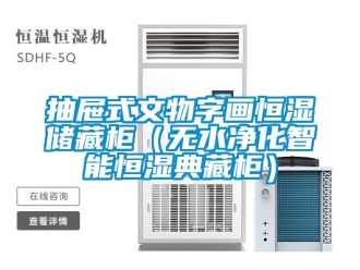 知识百科抽屉式文物字画恒湿储藏柜（无水净化智能恒湿典藏柜）