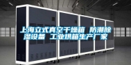 上海立式真空干燥箱 防潮除湿设备 工业烘箱生产厂家