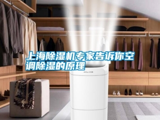 知识百科上海除湿机专家告诉你空调除湿的原理