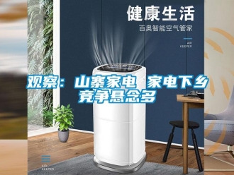 行业新闻观察：山寨家电 家电下乡竞争悬念多