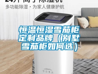 知识百科恒温恒湿雪茄柜定制品牌（别墅雪茄柜如何选）