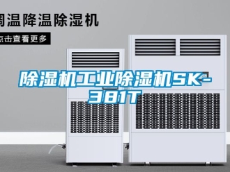 常见问题除湿机工业除湿机SK-381T