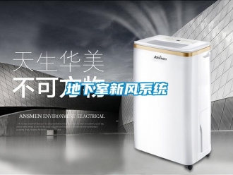 企业新闻地下室新风系统