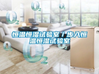 知识百科恒温恒湿试验室／步入恒温恒湿试验室