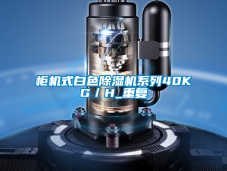 行业新闻柜机式白色除湿机系列40KG／H_重复