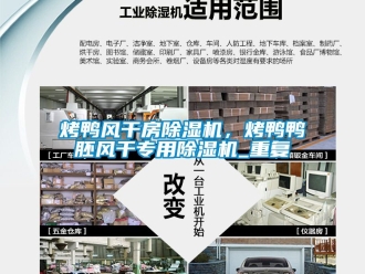 行业新闻烤鸭风干房除湿机，烤鸭鸭胚风干专用除湿机_重复