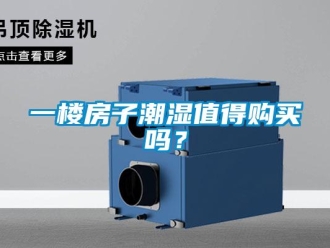 常见问题一楼房子潮湿值得购买吗？