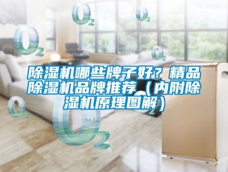 企业新闻除湿机哪些牌子好？精品除湿机品牌推荐（内附除湿机原理图解）