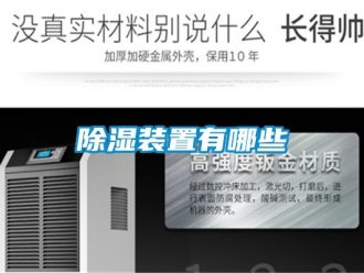 行业新闻除湿装置有哪些