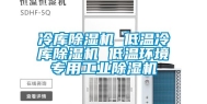 冷库除湿机 低温冷库除湿机 低温环境专用工业除湿机
