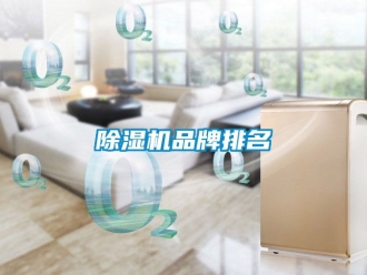 企业新闻除湿机品牌排名