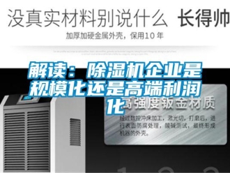 行业新闻解读：除湿机企业是规模化还是高端利润化