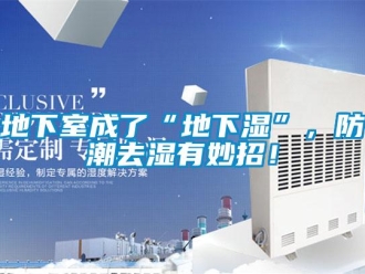 企业新闻地下室成了“地下湿”，防潮去湿有妙招！