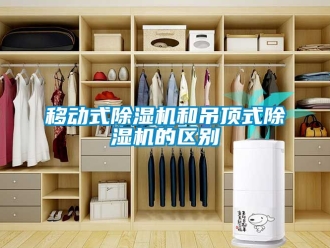 行业新闻移动式除湿机和吊顶式除湿机的区别