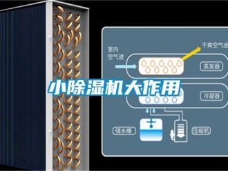 知识百科小除湿机大作用