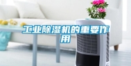 工业除湿机的重要作用