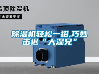 企业新闻除湿机轻松一招,巧妙击退“大湿兄”