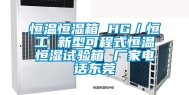 恒温恒湿箱 HG／恒工 新型可程式恒温恒湿试验箱 厂家电话东莞
