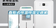 直膨式恒温恒湿空调机组