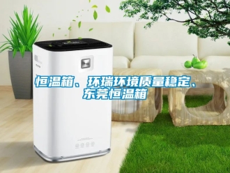 知识百科恒温箱、环瑞环境质量稳定、东莞恒温箱