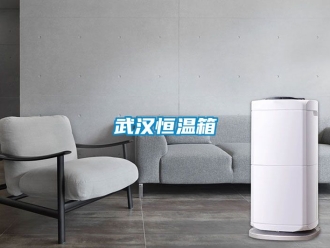 知识百科武汉恒温箱