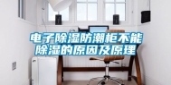 电子除湿防潮柜不能除湿的原因及原理
