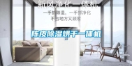 陈皮除湿烘干一体机
