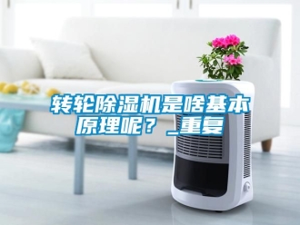 常见问题转轮除湿机是啥基本原理呢？_重复