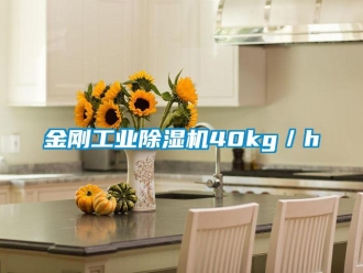 行业新闻金刚工业除湿机40kg／h