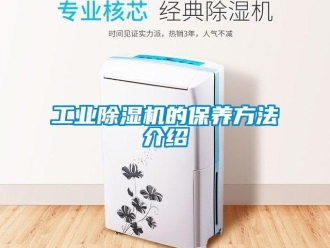 企业新闻工业除湿机的保养方法介绍