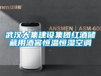 知识百科武汉大集建设集团红酒储藏用酒窖恒温恒湿空调