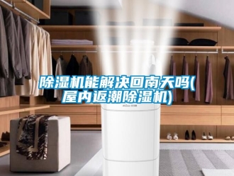 行业新闻除湿机能解决回南天吗(屋内返潮除湿机)