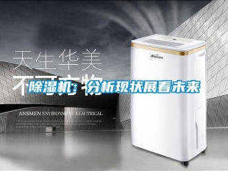 常见问题除湿机：分析现状展看未来