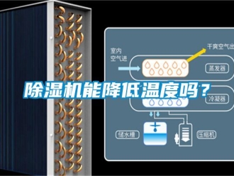 行业新闻除湿机能降低温度吗？