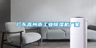 广东高州市工业除湿机厂家