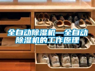 行业新闻全自动除湿机—全自动除湿机的工作原理