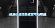 恒温恒湿组合式空气处理机