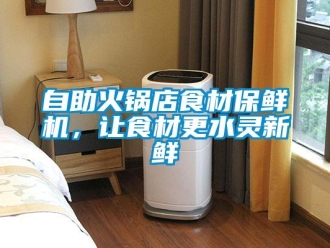 知识百科自助火锅店食材保鲜机，让食材更水灵新鲜