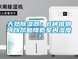 行业新闻天然除湿器；8种植物可以帮助降低室内湿度！
