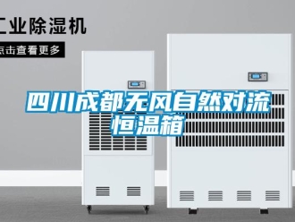 知识百科四川成都无风自然对流恒温箱