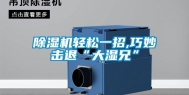 除湿机轻松一招,巧妙击退“大湿兄”