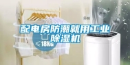 配电房防潮就用工业除湿机