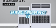 旺季除湿机销售有点冷