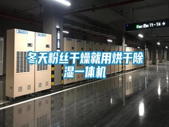 企业新闻冬天粉丝干燥就用烘干除湿一体机