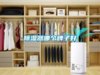 行业新闻除湿器哪个牌子好