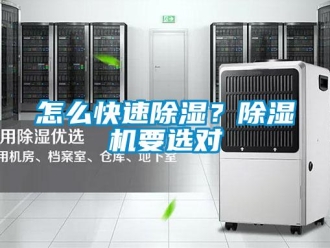 行业新闻怎么快速除湿？除湿机要选对
