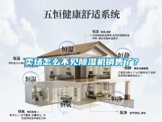 常见问题卖场怎么不见除湿机销售了？